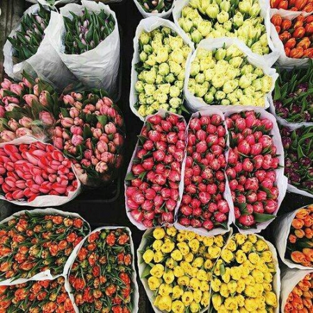 ՇՆՈՐՀԱՎՈՐ ՄԱՐՏԻ 8. ManeHblog.com